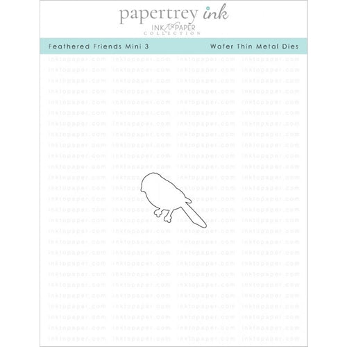 Simon Says Stamp! Papertrey Ink FEATHERED FRIENDS MINI 3 Die ITP161*