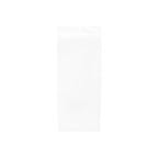 Simon Says Stamp! Clear Bags SLIMLINE 4.625 x 9.75 Inch Flap Seal Close Pack of 100 b4x9