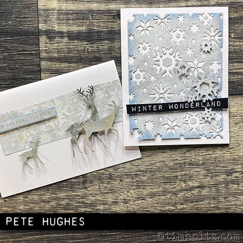 Simon Says Stamp! Tim Holtz Sizzix ARCTIC Thinlits Die 664967