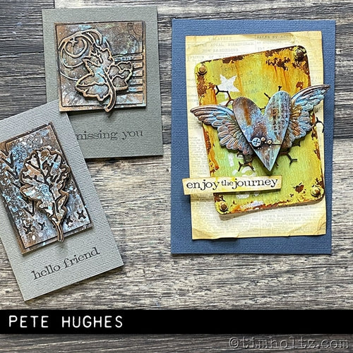 Simon Says Stamp! Tim Holtz Sizzix WINGED 3D Impresslits Cut and Emboss Folder 664248