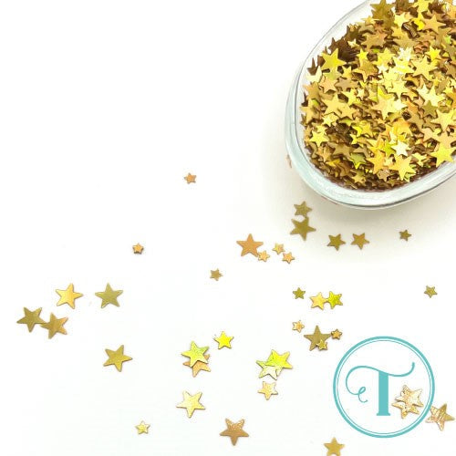 Simon Says Stamp! Trinity Stamps GOLD STAR Embellishment Box esb048