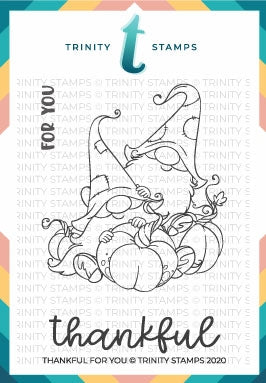 Simon Says Stamp! Trinity Stamps THANKFUL FOR YOU Clear Stamp Set tps079