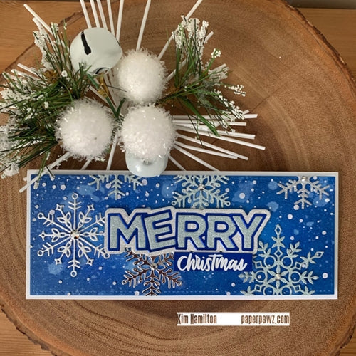 Simon Says Stamp! CZ Design CHUNKY MERRY Wafer Dies czd111