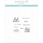 Simon Says Stamp! Papertrey Ink JUST SENTIMENTS GET WELL Clear Stamps 1224