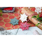 Simon Says Stamp! Simon Says Stamp PRISMATIC SNOWFLAKES Wafer Dies sssd112191c