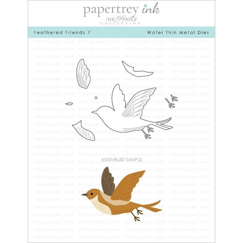 Simon Says Stamp! Papertrey Ink FEATHERED FRIENDS 7 Dies ITP236