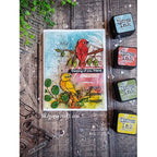 Simon Says Stamp! Simon Says Clear Stamps Beautiful BIRDS sss302283c