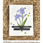 Simon Says Stamp! Simon Says Clear Stamps SKETCH IRIS sss302256c *