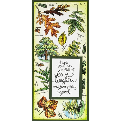 Simon Says Stamp! Stampendous Cling Stamp SLIM LEAFY TREES csl06*