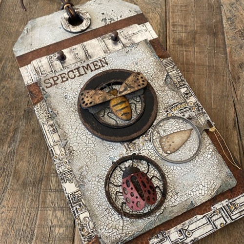 Simon Says Stamp! Tim Holtz Sizzix FUNKY INSECTS Thinlits Dies 665364 | color-code:ALT10