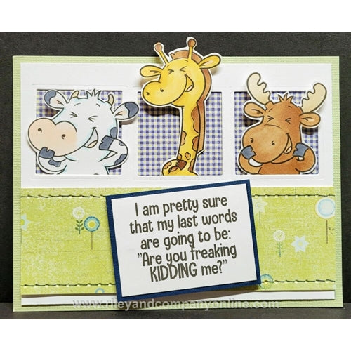 Simon Says Stamp! Riley And Company Funny Bones ARE YOU FREAKING KIDDING ME Cling Rubber Stamp RWD 893