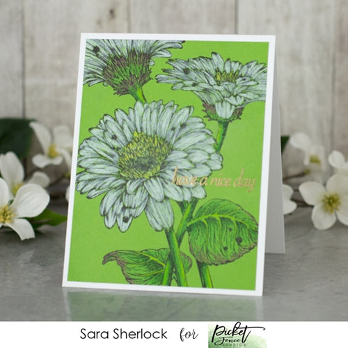 Simon Says Stamp! Picket Fence Studios WILD DAISIES Clear Stamps f150*