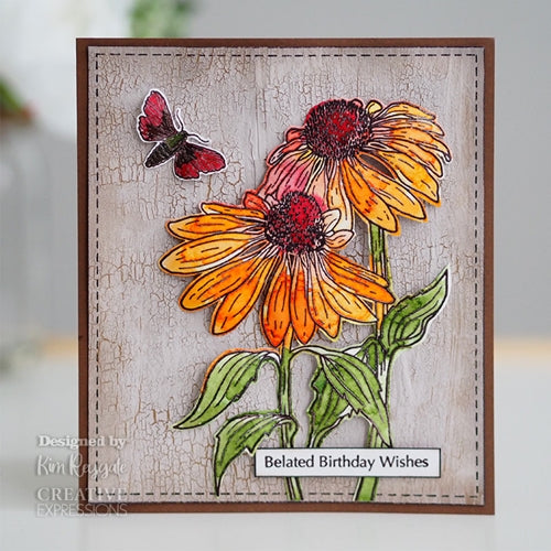 Simon Says Stamp! Woodware Craft Collection ECHINACEA AND MOTH Clear Stamps jgs765
