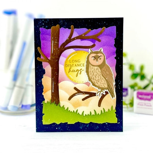 Simon Says Stamp! Papertrey Ink FEATHERED FRIENDS MINI 11 Clear Stamps 1286*