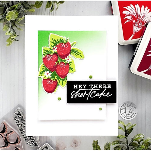 Simon Says Stamp! Hero Arts Clear Stamps COLOR LAYERING STRAWBERRY CM539