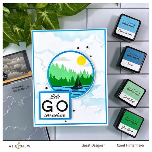 Simon Says Stamp! Altenew CLOUDY ALL DAY 3D Embossing Folder ALT6207