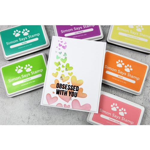 Simon Says Stamp! CZ Design Clear Stamps SASSY INSIDES cz370 Rainbows | color-code:ALT000