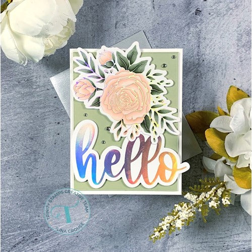 Simon Says Stamp! Trinity Stamps BIG HELLO Cut and Hot Foil Die Set tmd083 | color-code:ALT04