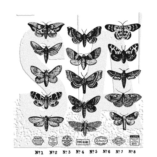 Simon Says Stamp! Tim Holtz Cling Rubber Stamps MOTH STUDY CMS436
