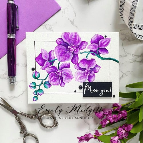 Simon Says Stamp! Colorado Craft Company and CRAFT MERAKI COLLABORATION Clear Stamps CC101