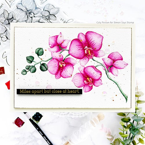 Simon Says Stamp! Colorado Craft Company and CRAFT MERAKI COLLABORATION Clear Stamps CC101 | color-code:ALT2