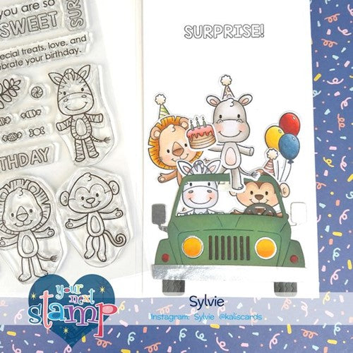 Simon Says Stamp! Your Next Stamp WILD BIRTHDAY Clear cyns822*