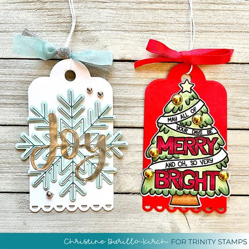 Simon Says Stamp! Trinity Stamps BIG SNOWFLAKE Cut And Foil Die Set tmd108 | color-code:ALT05