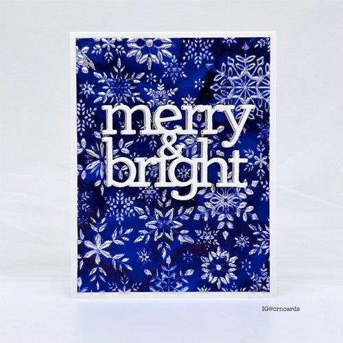 Simon Says Stamp! Simon Says Stamp Embossing Folder SNOWFLAKE VISIONS sf252