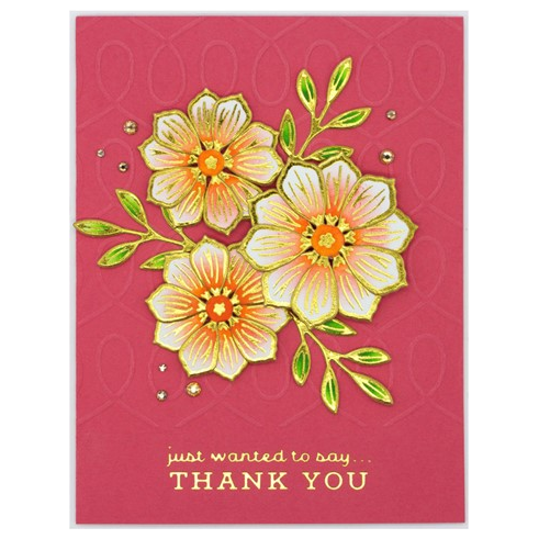 Simon Says Stamp! SES-029 Spellbinders LOOPS Embossing Folder