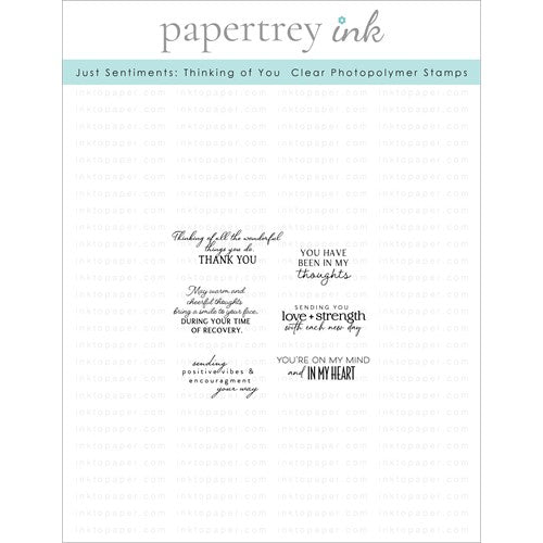 Simon Says Stamp! Papertrey Ink JUST SENTIMENTS THINKING OF YOU Clear Stamps 1350