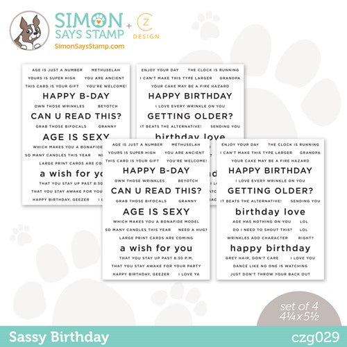 Simon Says Stamp! CZ Design Sentiment Strips SASSY BIRTHDAY czg029