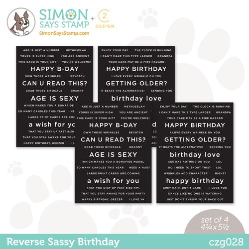 Simon Says Stamp! CZ Design Sentiment Strips REVERSE SASSY BIRTHDAY czg028