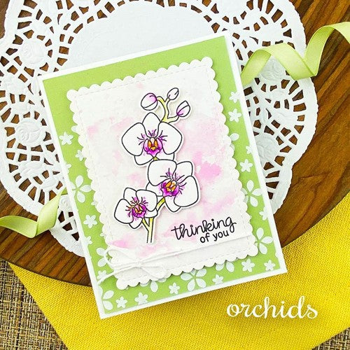 Simon Says Stamp! Newton's Nook Designs ORCHIDS Clear Stamps NN2201S01