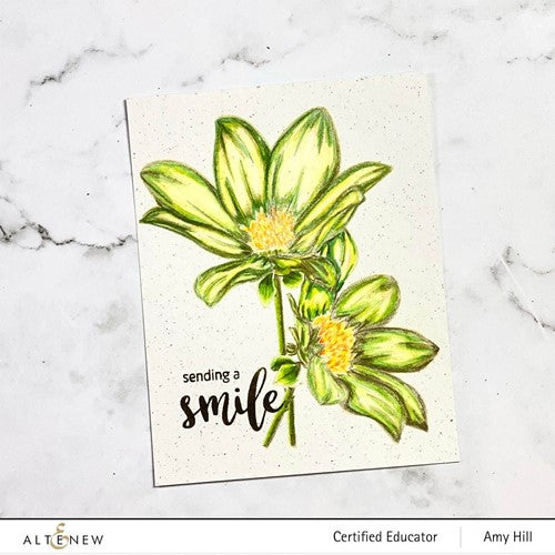 Simon Says Stamp! Altenew PAINT A FLOWER DAHLIA BRIGHT EYES Clear Stamps ALT6864