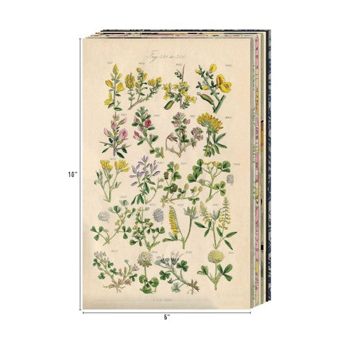 Simon Says Stamp! Tim Holtz Idea-ology BACKDROPS VOLUME 3 th94247