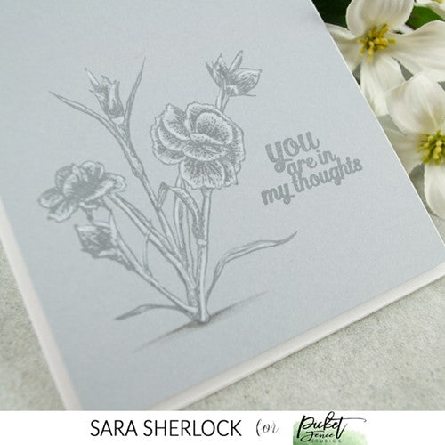 Simon Says Stamp! Picket Fence Studios CARNATION FLOWER GARDEN Clear Stamps f162*