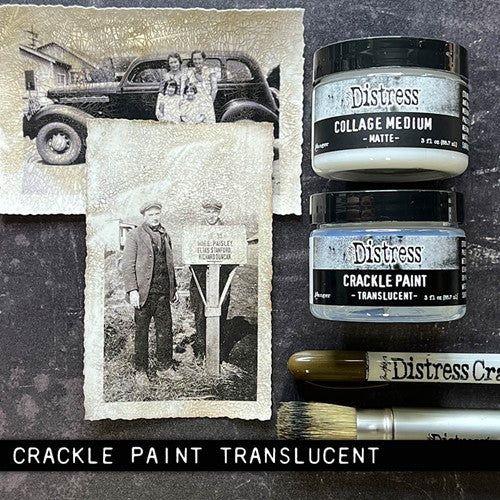 Simon Says Stamp! Tim Holtz DISTRESS CRACKLE PAINT TRANSLUCENT Ranger tdc80411