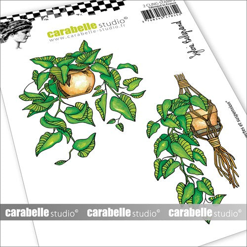 Simon Says Stamp! Carabelle Studio HANGING PLANTS A6 Cling Stamps sa60611*