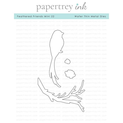 Simon Says Stamp! Papertrey Ink FEATHERED FRIENDS MINI 22 Dies PTI-0420
