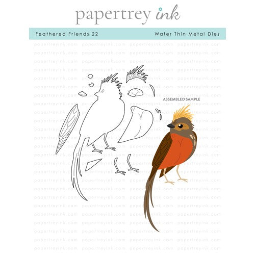 Simon Says Stamp! Papertrey Ink FEATHERED FRIENDS 22 Dies PTI-0419