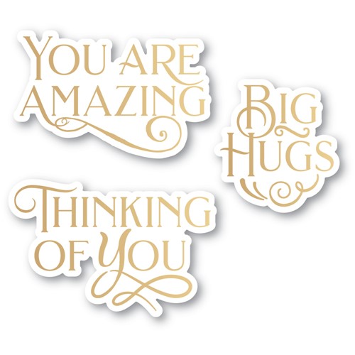 Simon Says Stamp! Poppy Stamps YOU ARE AMAZING POE SCRIPT GREETINGS Hot Foil Plates and Dies psf804