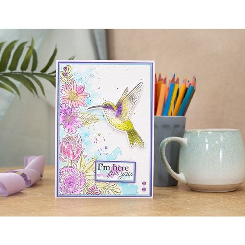 Simon Says Stamp! Crafter's Companion SWEET HUMMINGBIRD Stamp And Die Set ng-hb-std-swhu