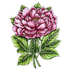 Simon Says Stamp! Couture Creations PEONY Stamp and Colour Set co728574