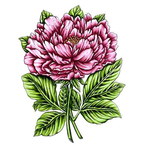 Simon Says Stamp! Couture Creations PEONY Stamp and Colour Set co728574