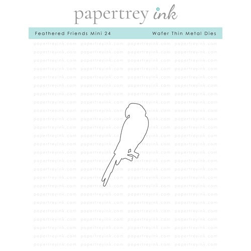 Simon Says Stamp! Papertrey Ink FEATHERED FRIENDS MINI 24 Dies PTI-0449
