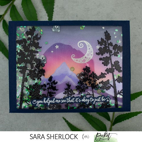 Simon Says Stamp! Picket Fence Studios A NIGHTLY SKY Clear Stamps bb188