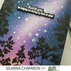 Simon Says Stamp! Picket Fence Studios A NIGHTLY SKY Clear Stamps bb188