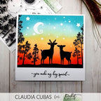 Simon Says Stamp! Picket Fence Studios A NIGHTLY SKY Clear Stamps bb188
