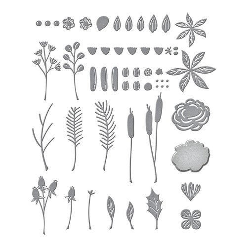 Simon Says Stamp! S5-527 Spellbinders HOLIDAY BLOOMS Etched Dies