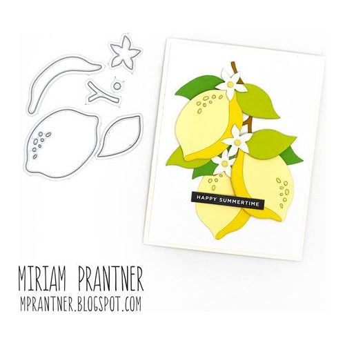 Simon Says Stamp! Simon Says Stamp LEMON ZEST Wafer Dies sssd112645 | color-code:ALT4